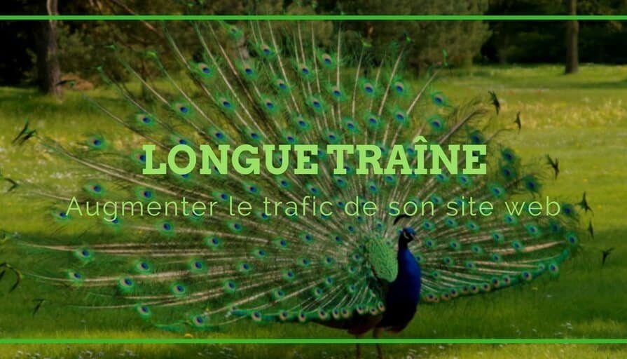 Augmenter le trafic de votre site web grâce aux mots clés de votre longue traîne(1)(1)