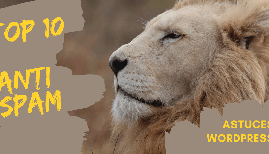Le top 10 des astuces anti-spam pour WordPress(1)(1)