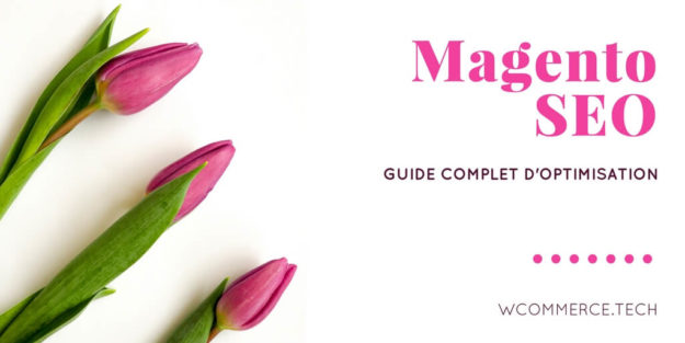 Magento _ Guide complet pour optimiser votre référencement