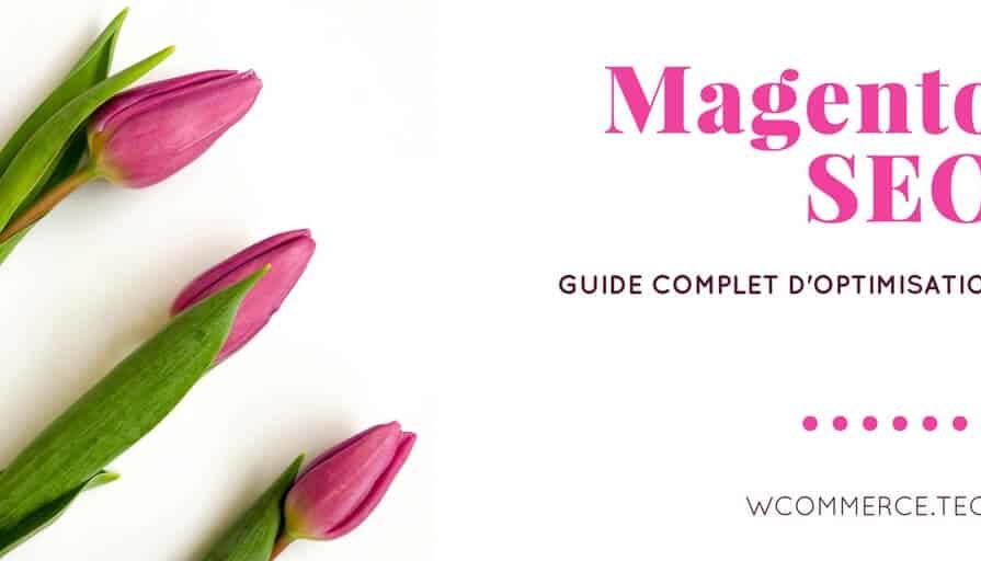 Magento _ Guide complet pour optimiser votre référencement