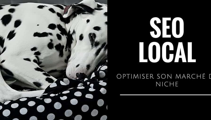 Référencement local _ Optimiser son marché de niche(1)