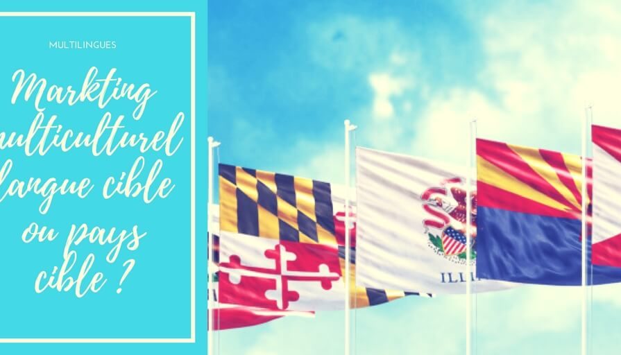 Stratégies de recherche multilingues pour un marketing multiculturel, Langue cible ou Pays cible _(1)