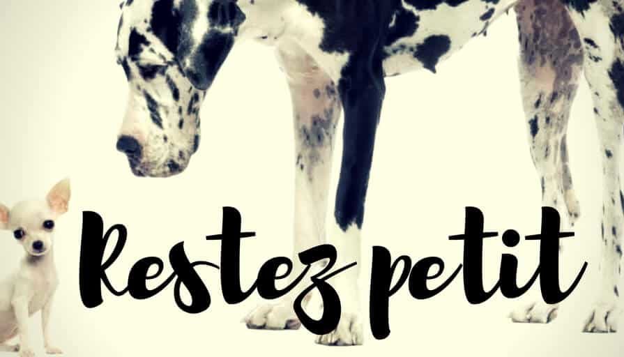 Ecommerçants, Restez Petits !