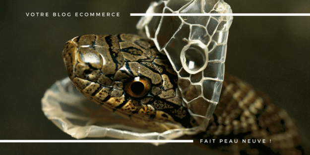 Votre Blog eCommerce Fait Peau Neuve !(1)(1)