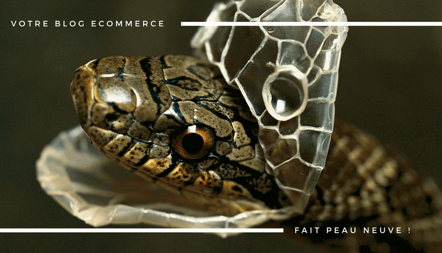 Votre Blog eCommerce Fait Peau Neuve !(1)(1)