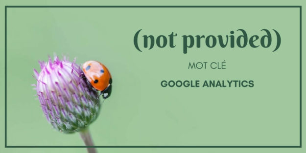 Google Analytics, Mot Clé (not provided)(1)