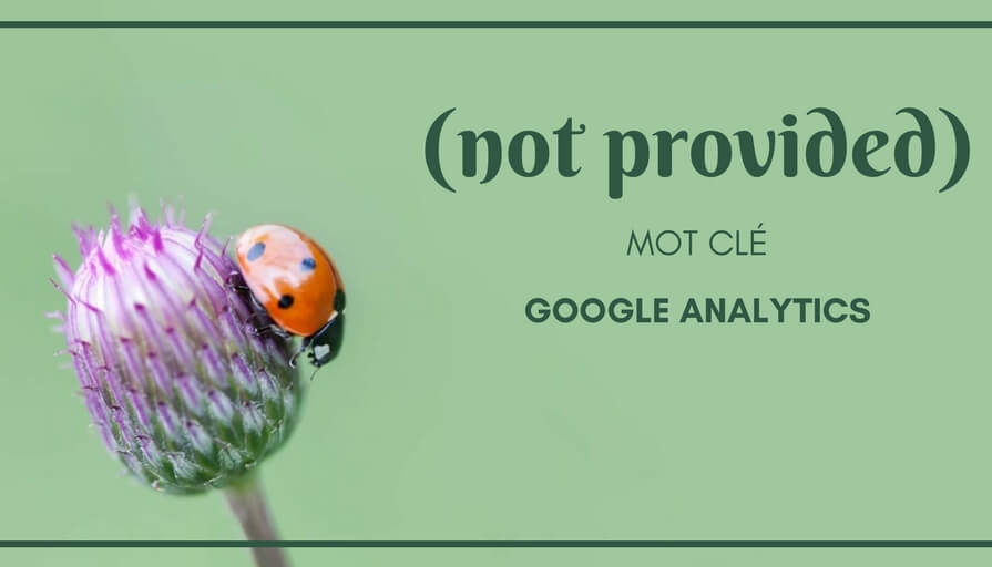 Google Analytics, Mot Clé (not provided)(1)