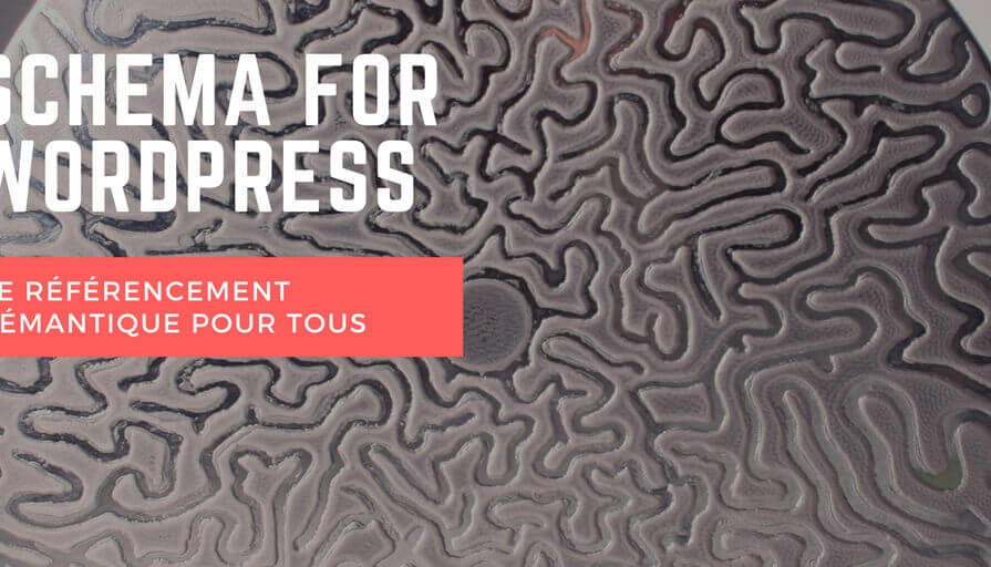 Référencement sémantique avec Schema for WordPress(1)