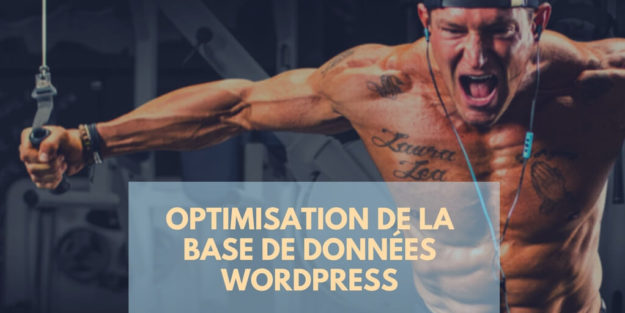 WordPress _ Optimisation de la Base de Données(1)