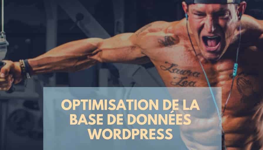 WordPress _ Optimisation de la Base de Données(1)