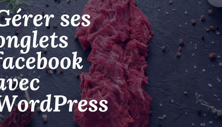 Gérer vos Onglets Facebook à Partir de WordPress