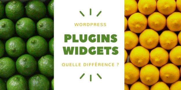 Plugin _ Widget _ Quelle différence pour WordPress _(1)