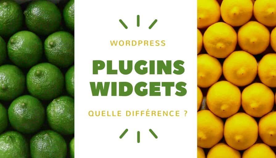 Plugin _ Widget _ Quelle différence pour WordPress _(1)