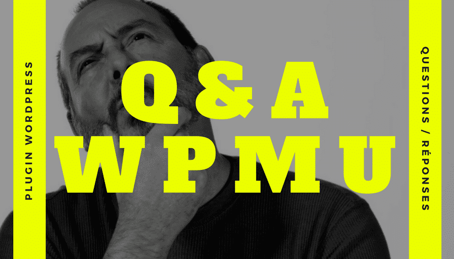 Q&A WPMU _ Plugin Question _ Réponse pour WordPress