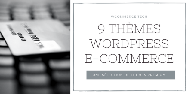 9 Thèmes WordPress premium eCommerce(1)