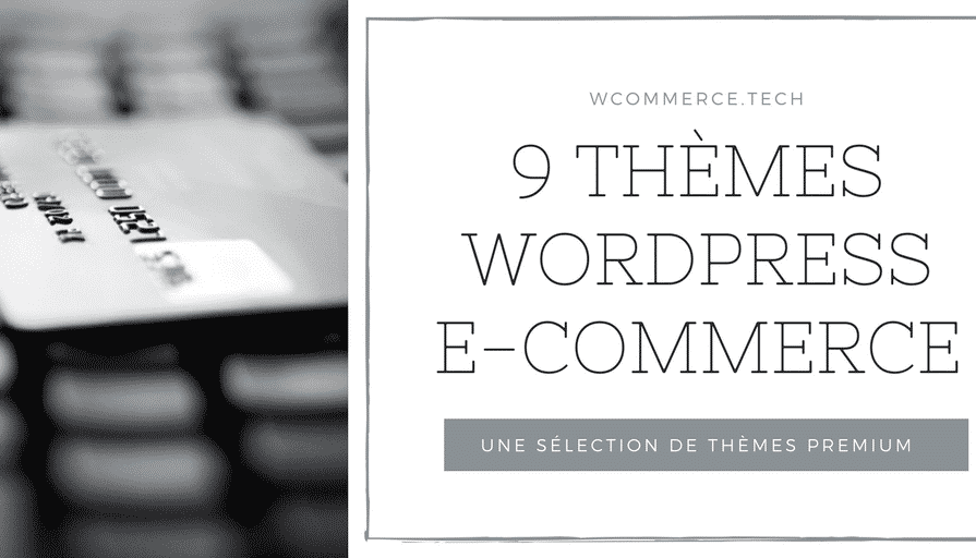 9 Thèmes WordPress premium eCommerce(1)