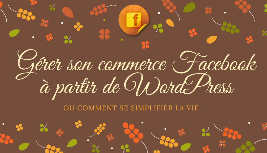 Gérer son fCommerce à partir de WordPress