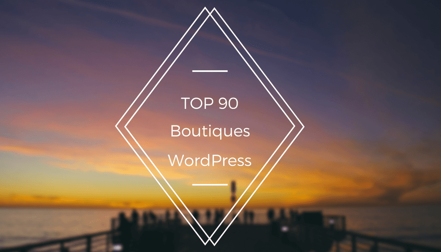 Thèmes WordPress Pro _ Top 90 des boutiques indépendantes
