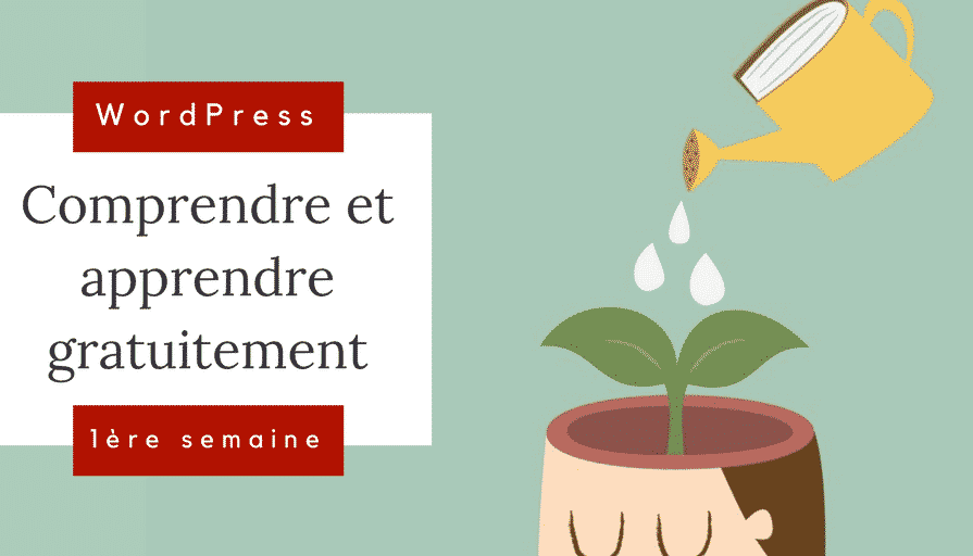 Première semaine avec WordPress _ Comprendre et apprendre gratuitement
