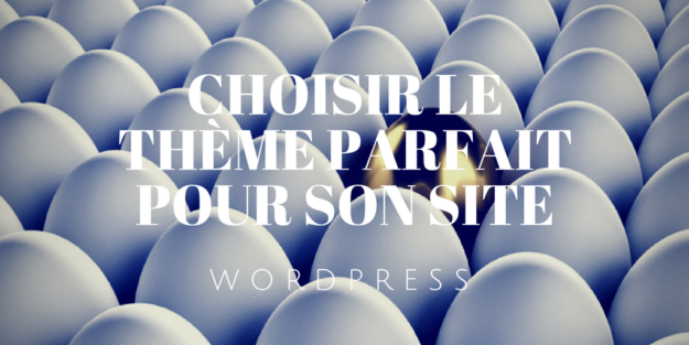 WordPress _ Choisir le thème parfait pour son site