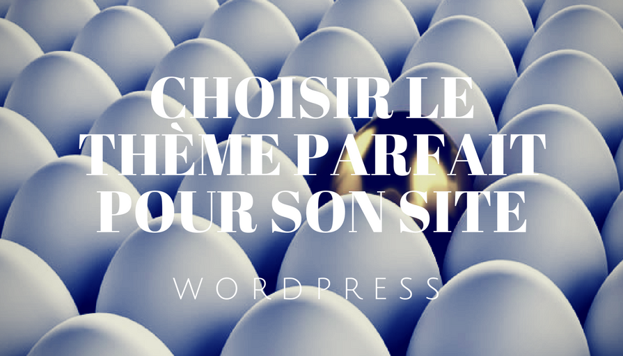 WordPress _ Choisir le thème parfait pour son site