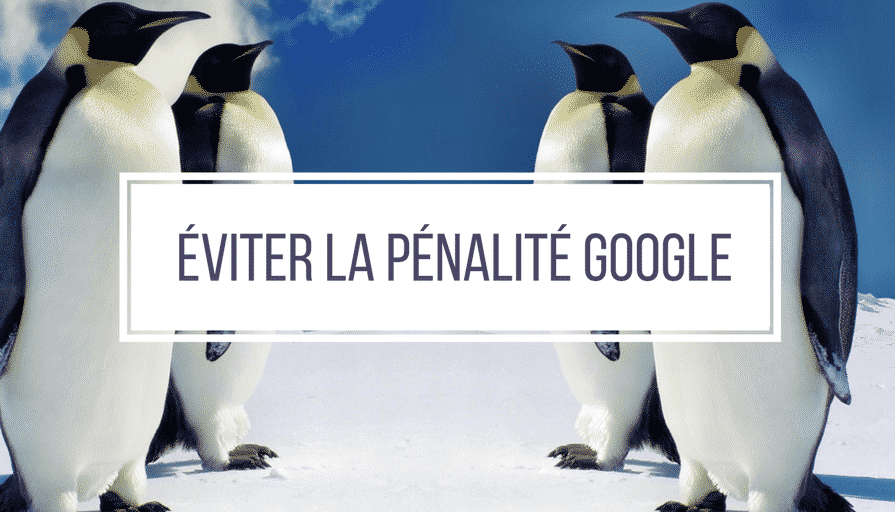 Google Pingouin _ tout ce qu’il faut savoir pour éviter une pénalité