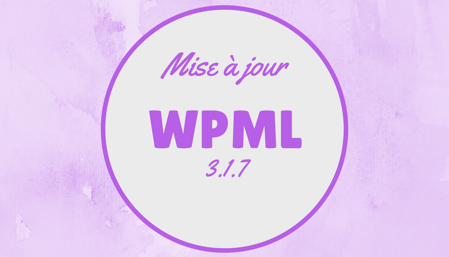 WPML 317