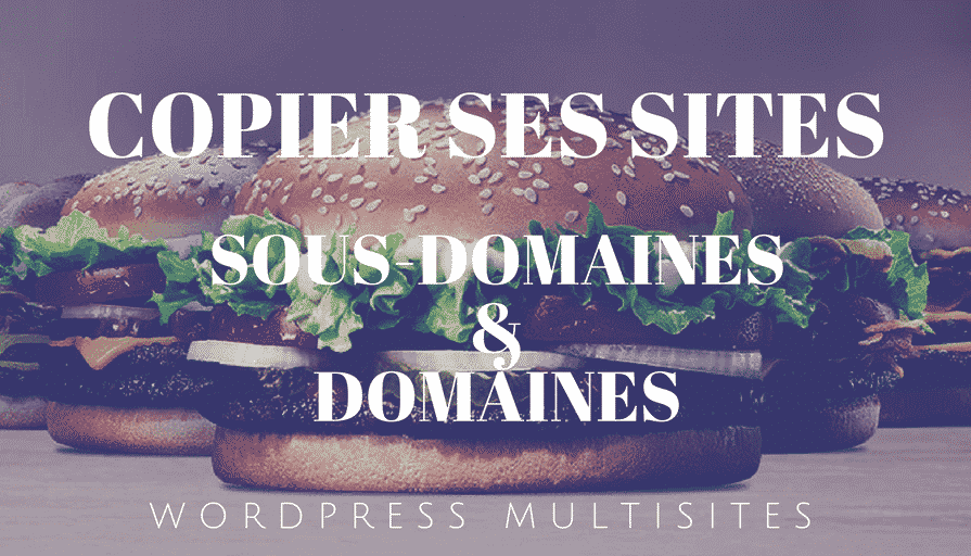 WordPress Multisites _ Copier ses sites (sous-domaines _ domaines)
